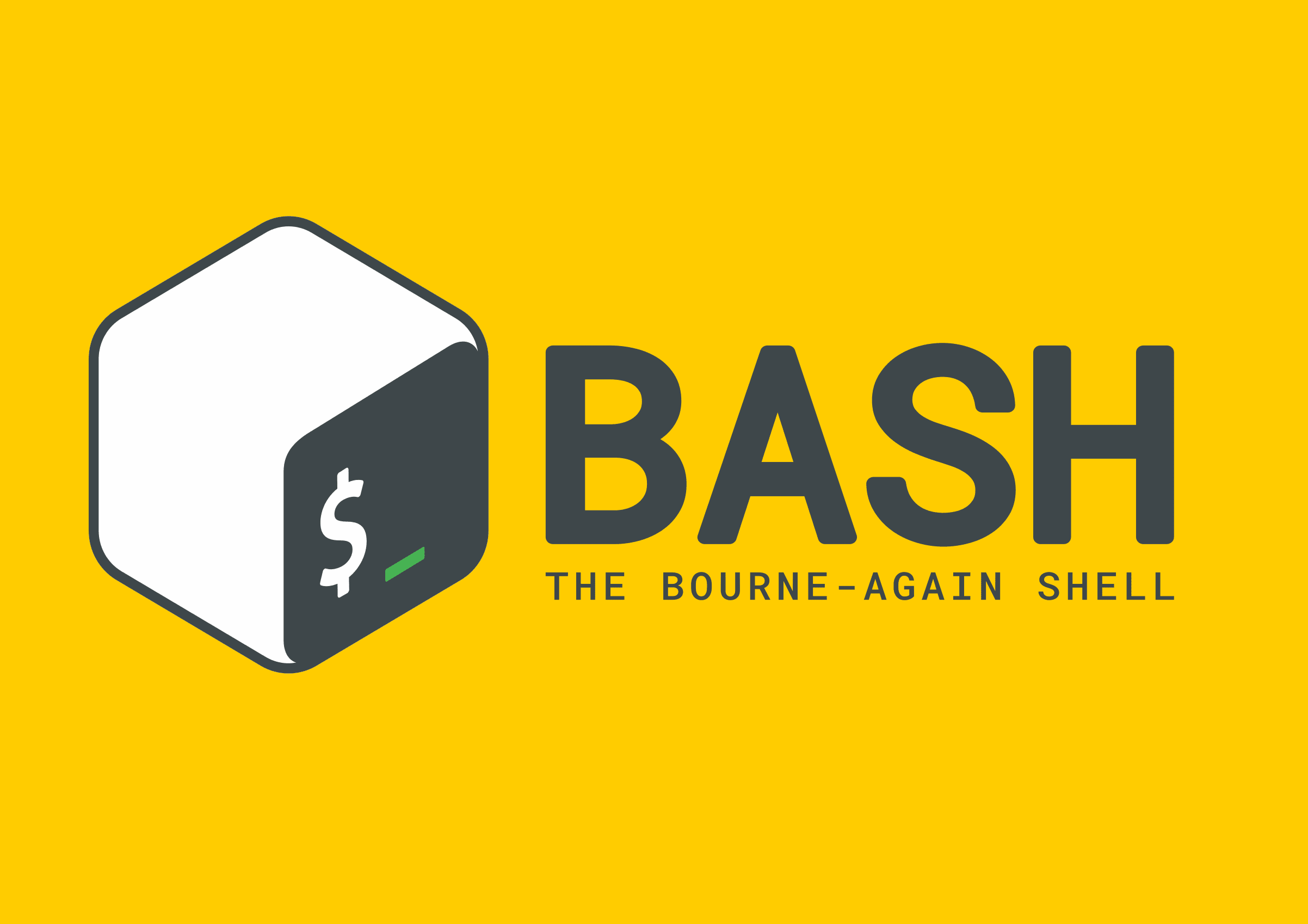 Что такое bash